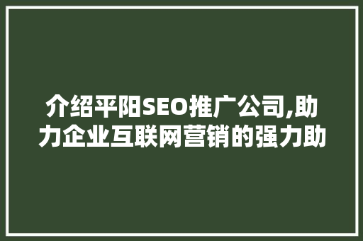介绍平阳SEO推广公司,助力企业互联网营销的强力助手