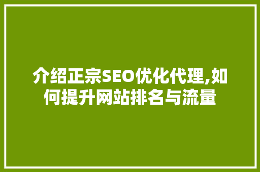 介绍正宗SEO优化代理,如何提升网站排名与流量