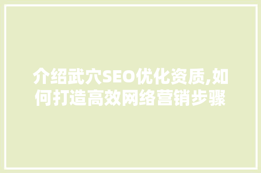 介绍武穴SEO优化资质,如何打造高效网络营销步骤
