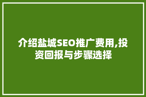 介绍盐城SEO推广费用,投资回报与步骤选择