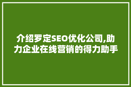 介绍罗定SEO优化公司,助力企业在线营销的得力助手