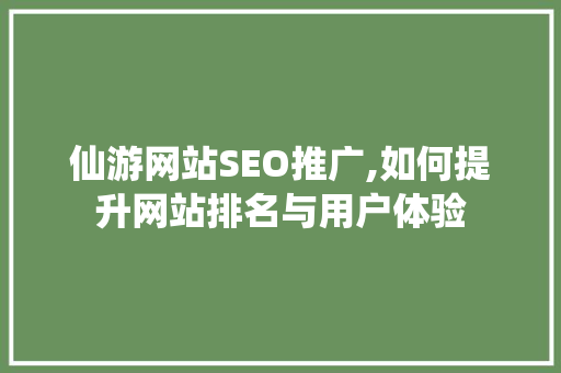 仙游网站SEO推广,如何提升网站排名与用户体验