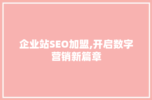 企业站SEO加盟,开启数字营销新篇章