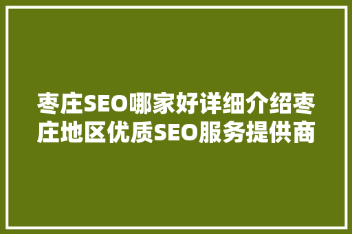 枣庄SEO哪家好详细介绍枣庄地区优质SEO服务提供商
