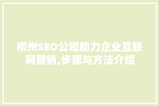 柳州SEO公司助力企业互联网营销,步骤与方法介绍