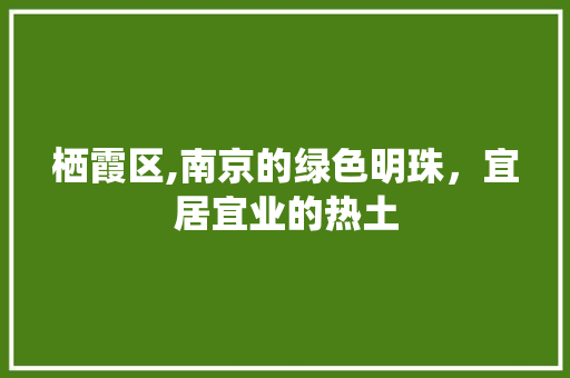 栖霞区,南京的绿色明珠，宜居宜业的热土