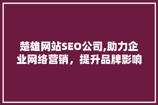 楚雄网站SEO公司,助力企业网络营销，提升品牌影响力