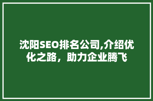 沈阳SEO排名公司,介绍优化之路，助力企业腾飞