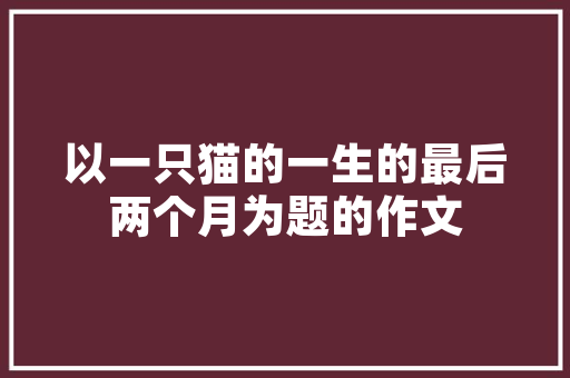 分排代码现代信息处理的核心技术