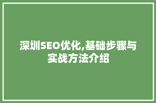 深圳SEO优化,基础步骤与实战方法介绍