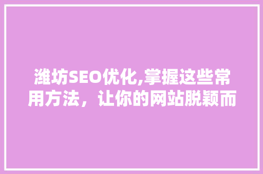 潍坊SEO优化,掌握这些常用方法，让你的网站脱颖而出