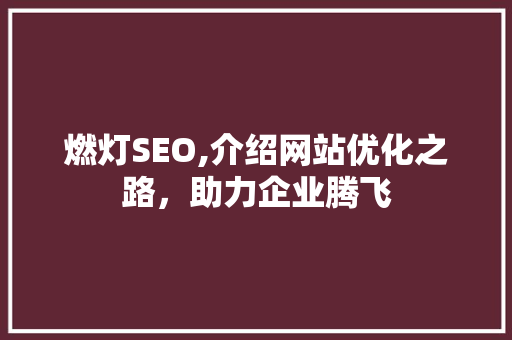 燃灯SEO,介绍网站优化之路，助力企业腾飞
