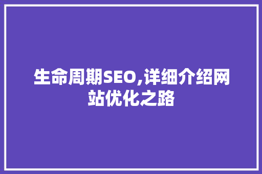 生命周期SEO,详细介绍网站优化之路