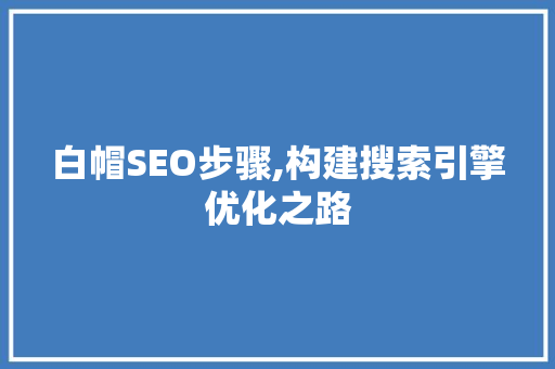 白帽SEO步骤,构建搜索引擎优化之路