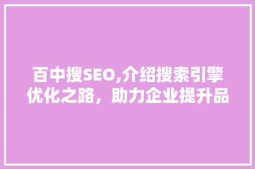 百中搜SEO,介绍搜索引擎优化之路，助力企业提升品牌影响力