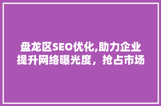 盘龙区SEO优化,助力企业提升网络曝光度，抢占市场先机