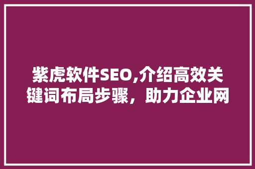 紫虎软件SEO,介绍高效关键词布局步骤，助力企业网站优化