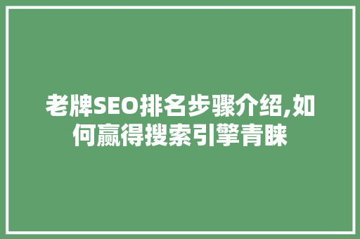 老牌SEO排名步骤介绍,如何赢得搜索引擎青睐