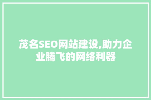 茂名SEO网站建设,助力企业腾飞的网络利器