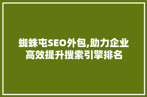 蜘蛛屯SEO外包,助力企业高效提升搜索引擎排名