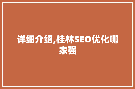 详细介绍,桂林SEO优化哪家强