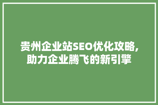 贵州企业站SEO优化攻略,助力企业腾飞的新引擎
