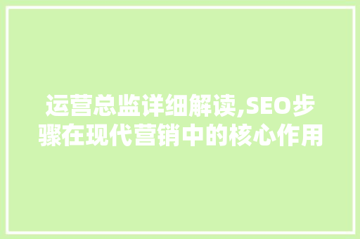运营总监详细解读,SEO步骤在现代营销中的核心作用