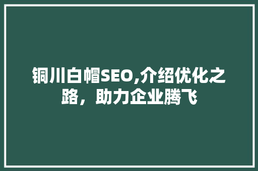 铜川白帽SEO,介绍优化之路，助力企业腾飞