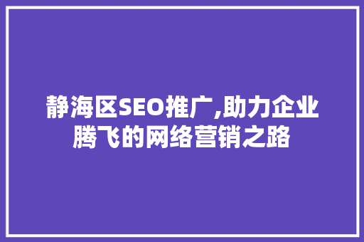 静海区SEO推广,助力企业腾飞的网络营销之路