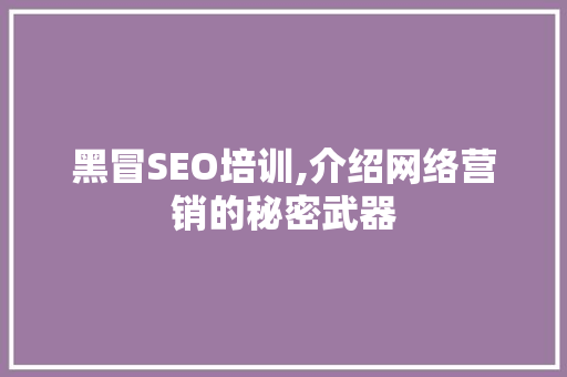 黑冒SEO培训,介绍网络营销的秘密武器