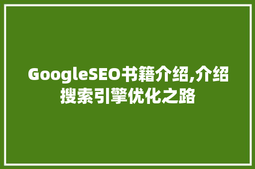 GoogleSEO书籍介绍,介绍搜索引擎优化之路