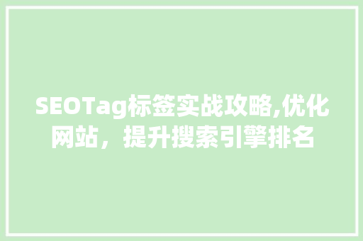 SEOTag标签实战攻略,优化网站，提升搜索引擎排名