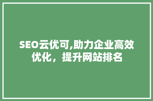 SEO云优可,助力企业高效优化，提升网站排名