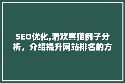 SEO优化,清欢喜猫例子分析，介绍提升网站排名的方法