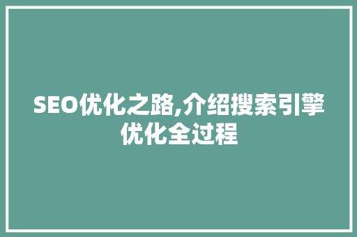SEO优化之路,介绍搜索引擎优化全过程