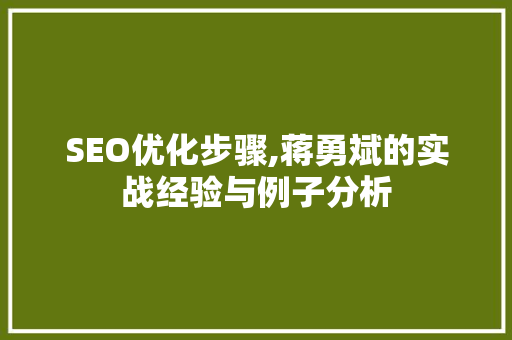 SEO优化步骤,蒋勇斌的实战经验与例子分析