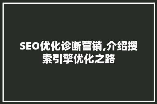 SEO优化诊断营销,介绍搜索引擎优化之路