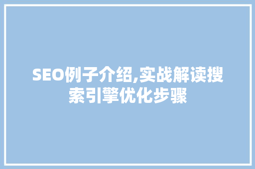 SEO例子介绍,实战解读搜索引擎优化步骤