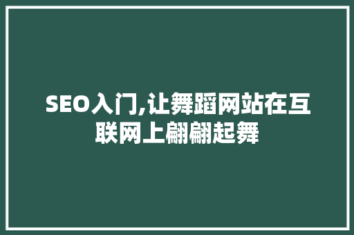 SEO入门,让舞蹈网站在互联网上翩翩起舞
