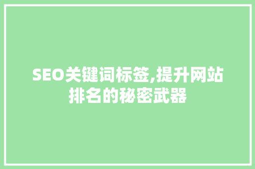 SEO关键词标签,提升网站排名的秘密武器