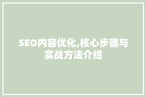 SEO内容优化,核心步骤与实战方法介绍