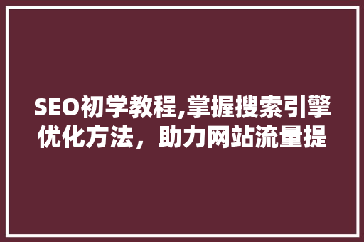 SEO初学教程,掌握搜索引擎优化方法，助力网站流量提升