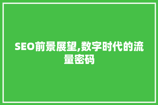 SEO前景展望,数字时代的流量密码