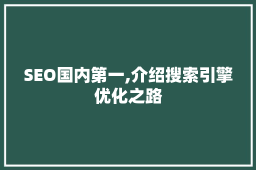 SEO国内第一,介绍搜索引擎优化之路