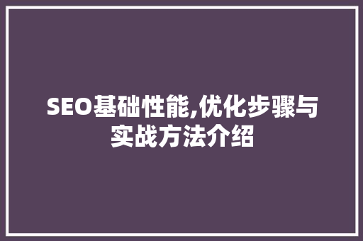 SEO基础性能,优化步骤与实战方法介绍