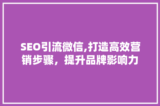 SEO引流微信,打造高效营销步骤，提升品牌影响力