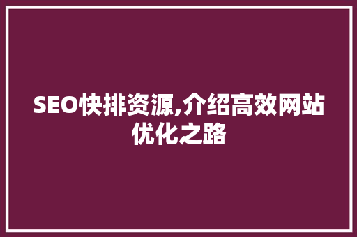 SEO快排资源,介绍高效网站优化之路