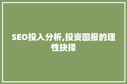 SEO投入分析,投资回报的理性抉择