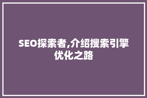 SEO探索者,介绍搜索引擎优化之路