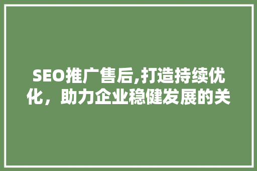 SEO推广售后,打造持续优化，助力企业稳健发展的关键步骤